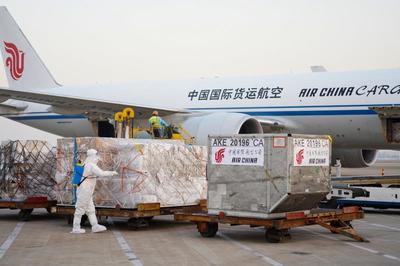 浦東機場一日破300架次 冷鏈貨運高峰背后的進出口代理新挑戰